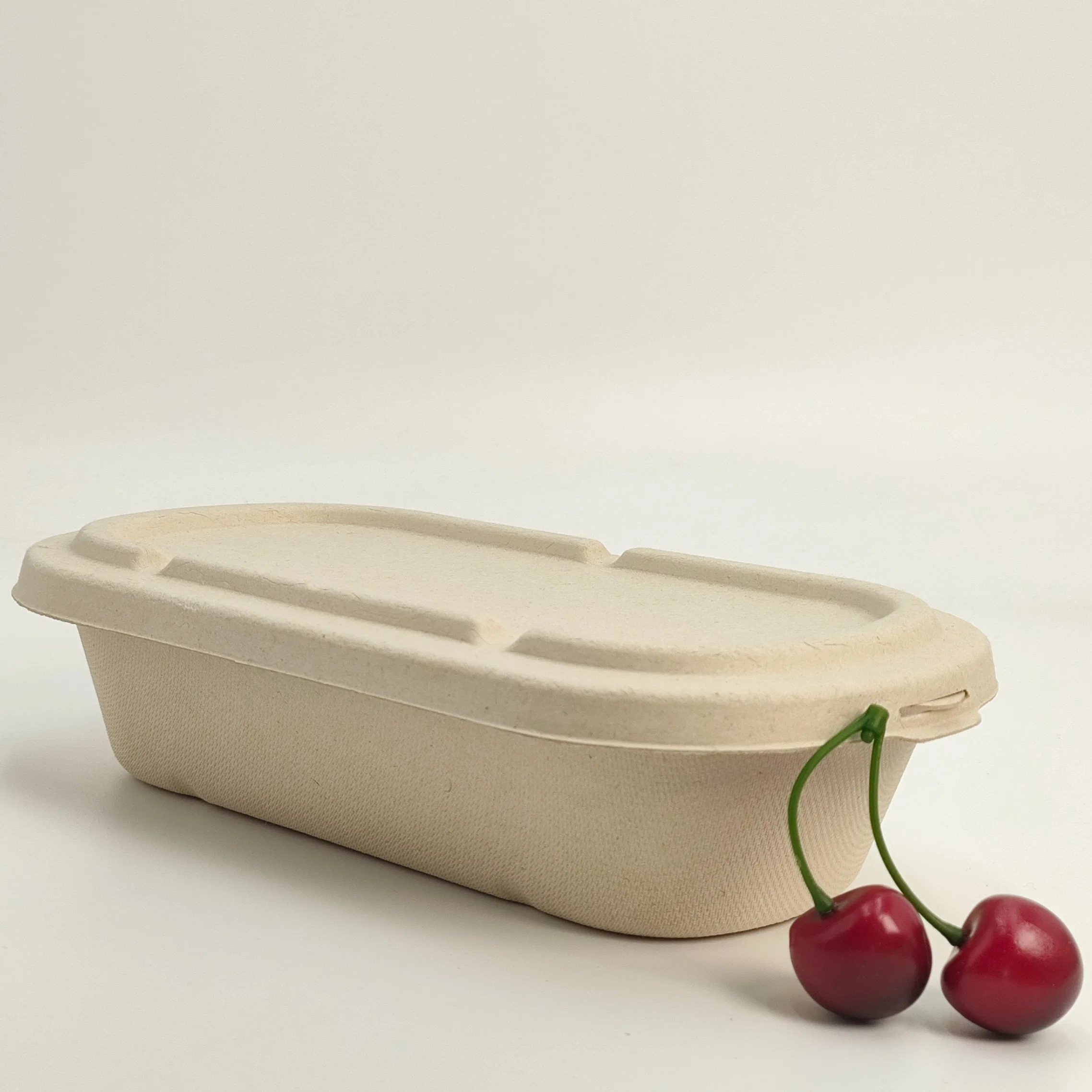 Disposable Food Packing Sugarcane Bagasse Restaurant Takeaway Box with Lid