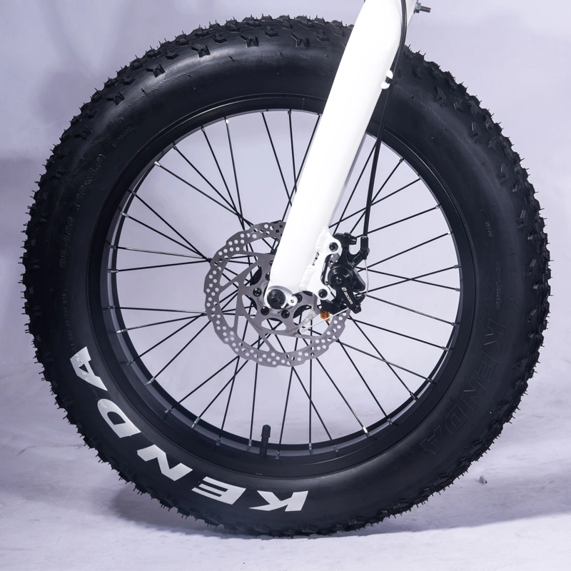 China Factoy suministro de bicicleta plegada nieve bicicleta eléctrica 20 grasa Bicicleta eléctrica de neumáticos