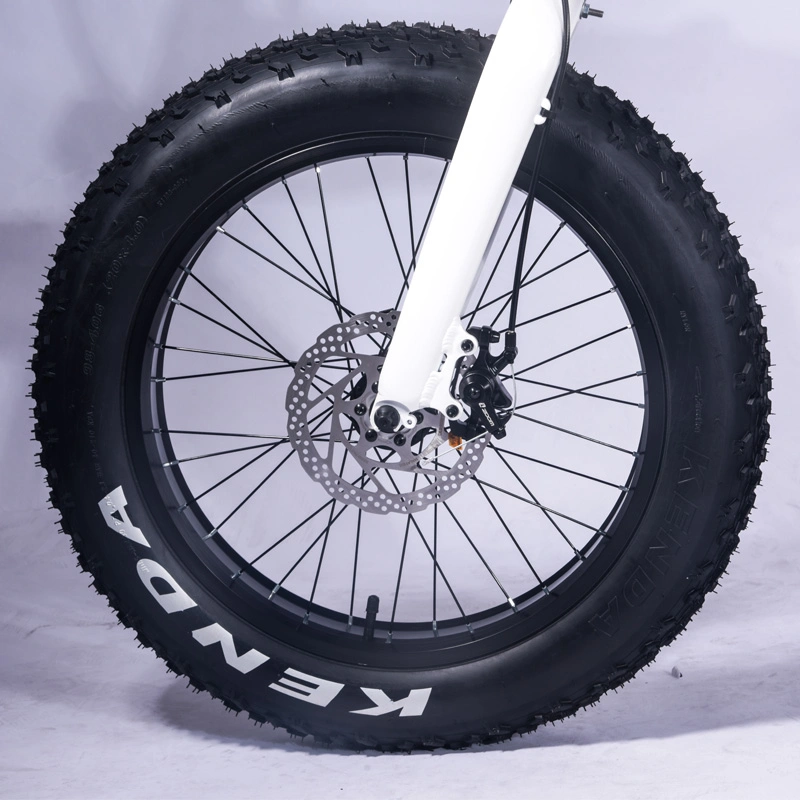 Chine Factoy Supply vélo plié neige vélo électrique 20 gras Pneu de vélo électrique