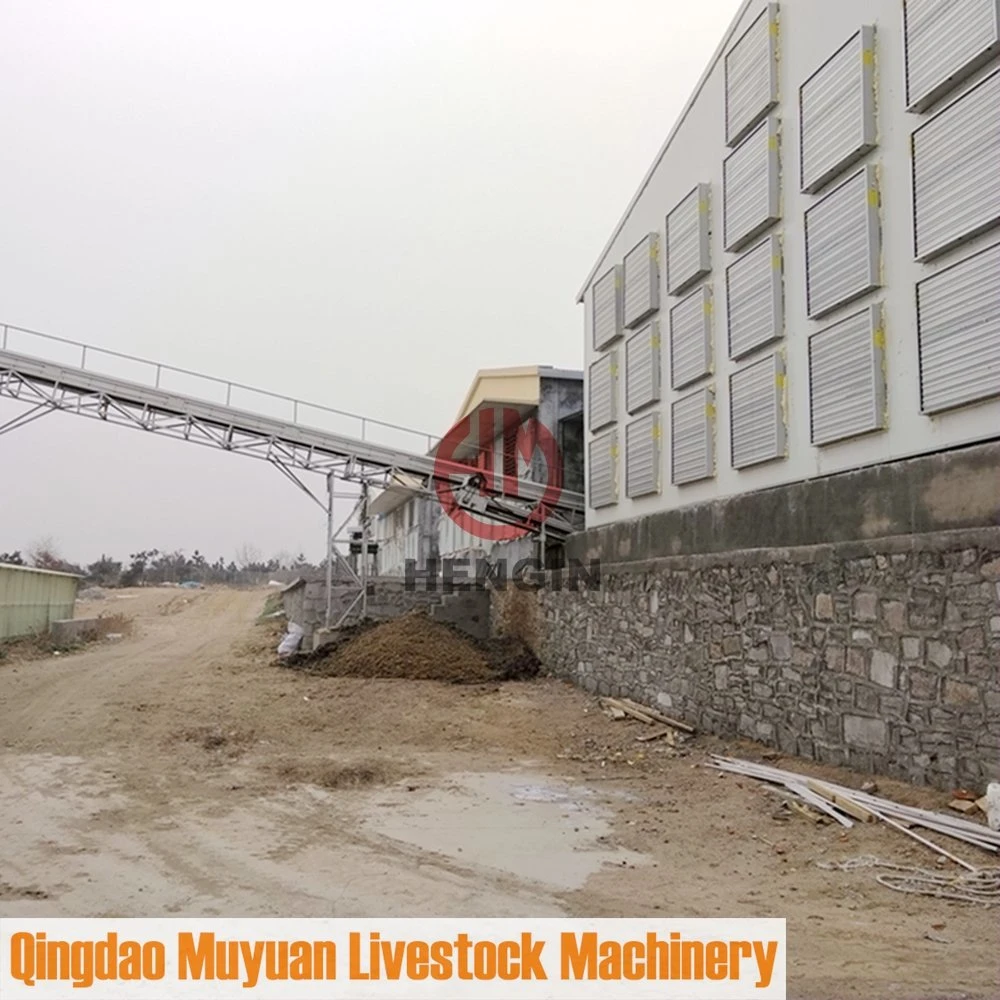 Poultry Farm Livestock Machinery for Chicken Layer House