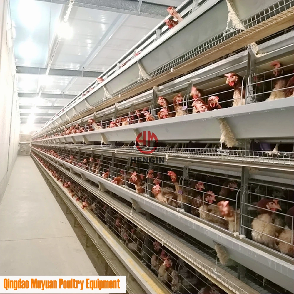 H-Typ Hühnereikäfig für Uganda Poultry Farm
