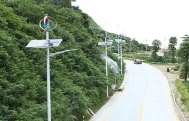 300W Wind Turbine and Solar Panel Lighting System on The Highway