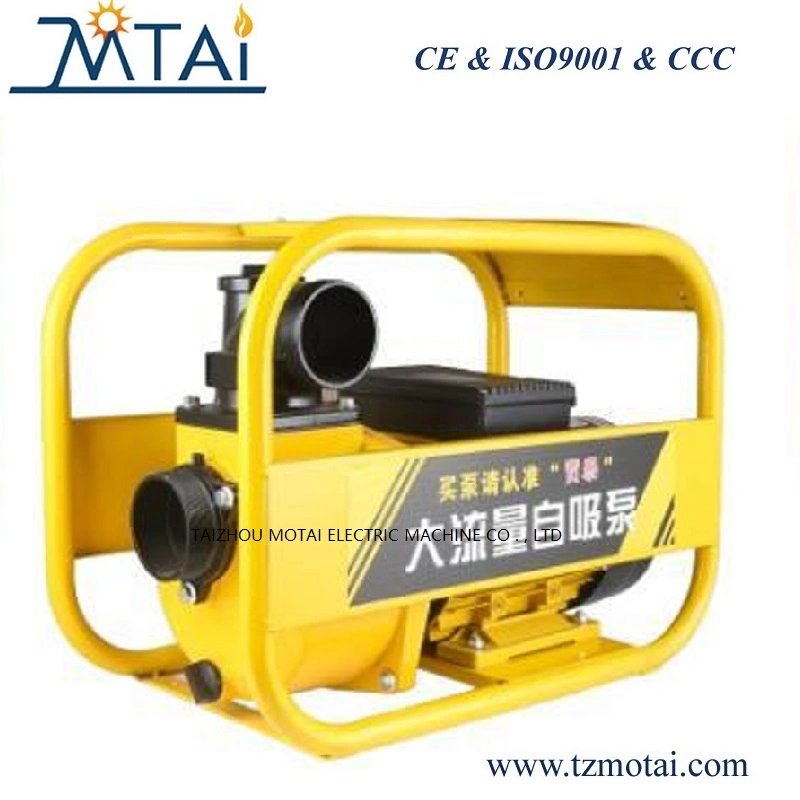 2&prime;3&prime; 4&prime;DSU Rainproof large flow centrifugal self-priming pump