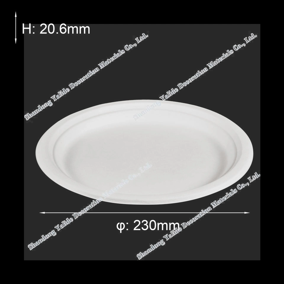 Top Quality 12 Inch Composable Biodegradable Sugarcane Bagasse Paper Plate Disposable