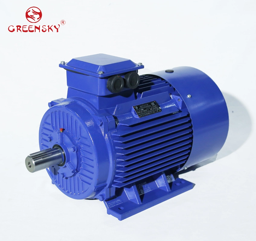 Three-Phase Induction AC Electric Motor 0.06~300kw&#160; for Water Pump