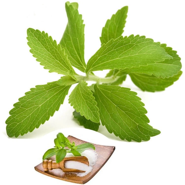 Organic Sweetener Stevia Leaf Extract Stevia Stevioside