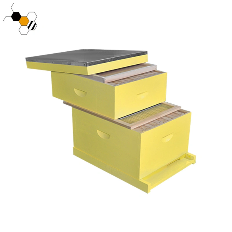 Hot Sale jaune Ruches d'abeilles pour la vente de miel ruche Langstroth