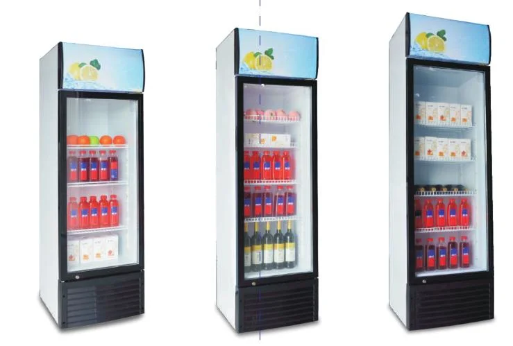 Frigorífico com visor de porta única 378L sem refrigerador de bebidas congelador Para supermercado Showcase