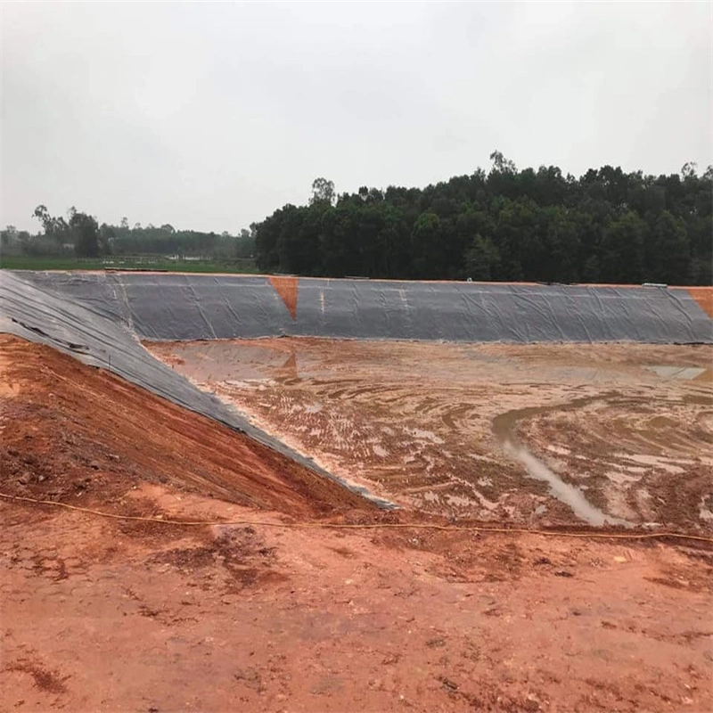 Mining Landfill Dam Plastic Sheet Membrane Tank Film Pond Liner