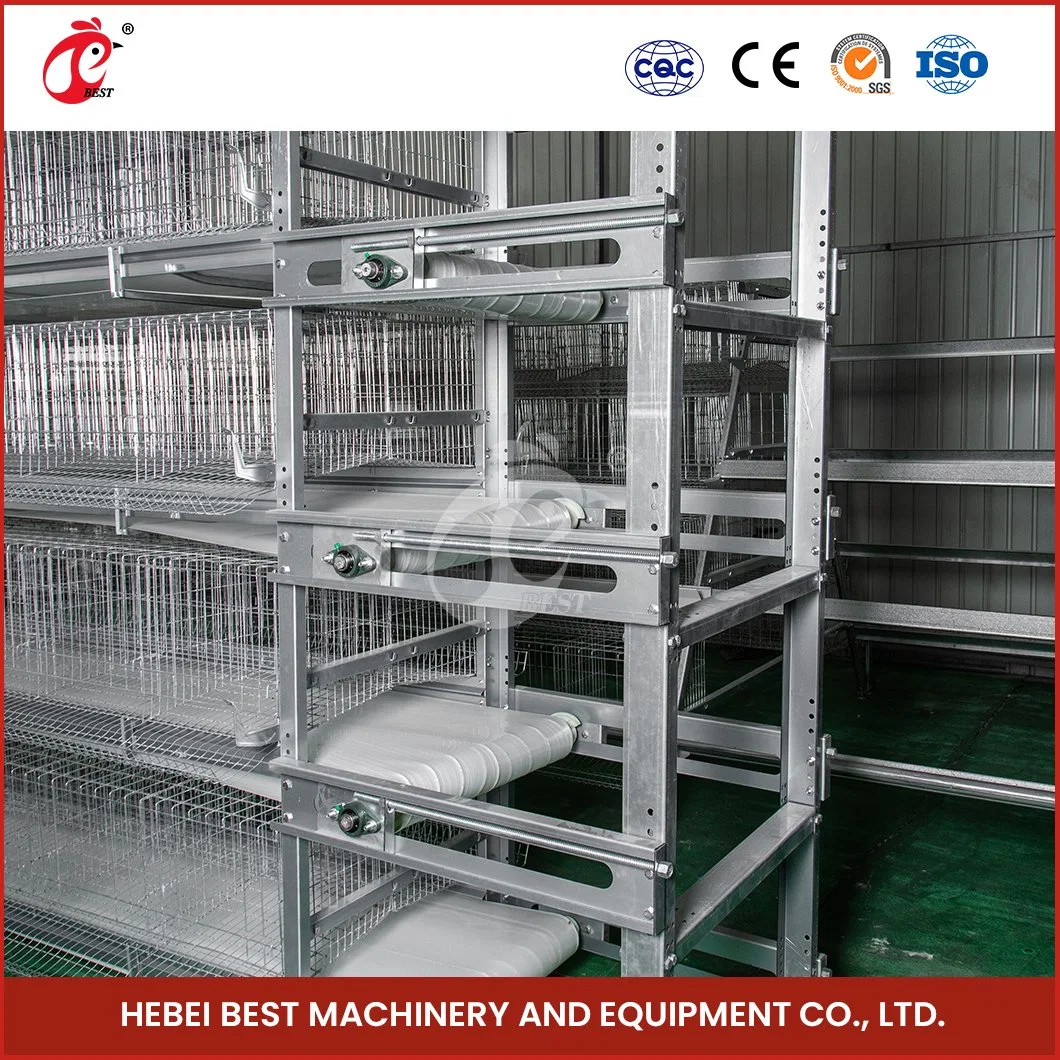 Bestchickencage H Type Automatic Pullet Cage China Plastic Pullet Hen House Manufacturing Free Sample Applicable Chicken Farm Pullet Chicken Coop for 10 Hens