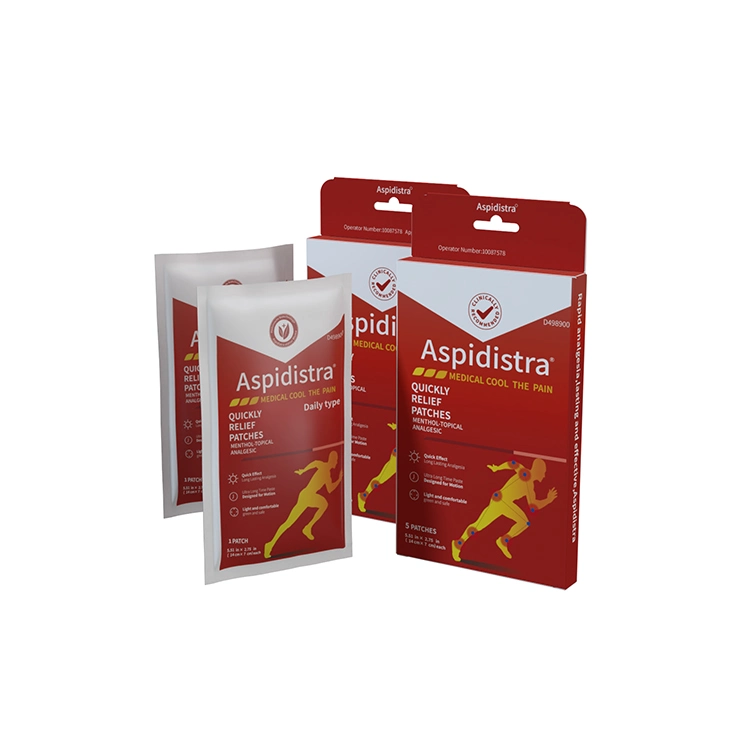 Free Samples Fast Effect Chinese Traditional Herbal Sports-Related Pain Patch