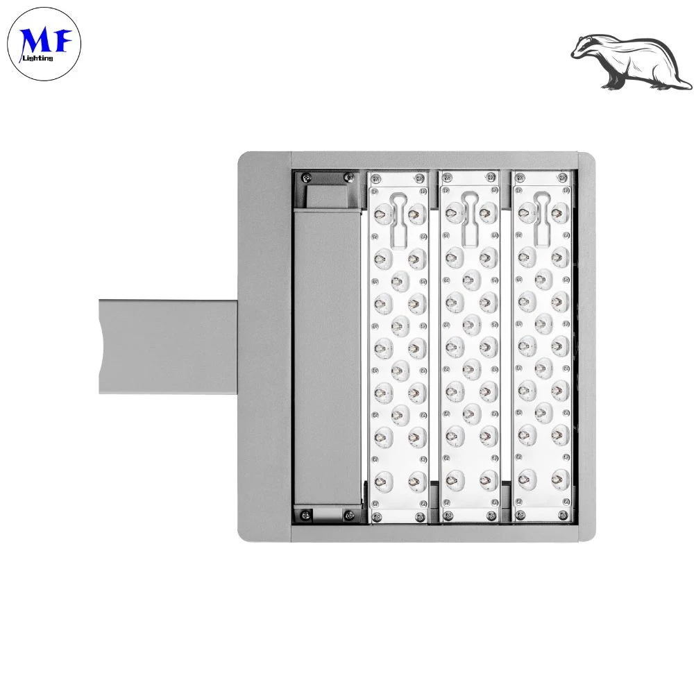 60W-300W IP67 Wasserdichte LED-Straßenleuchte mit Photocell SPD Smart Steuerung 1-10V Dali für Wohnunterteilung Fahrrad Lane Bürgersteig Brücke Tunneleingang