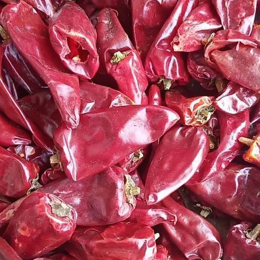 Spicy Pepper Beijing Red Hot Chili Wholesale