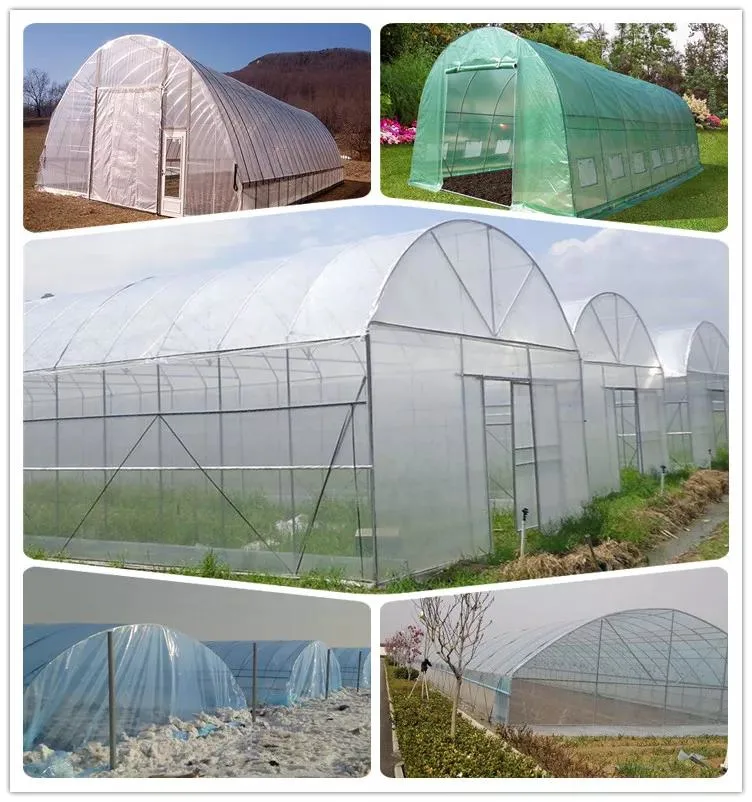 Production manuelle de type Xinhe Nude ou Carton Plant tunnel Greenhouse