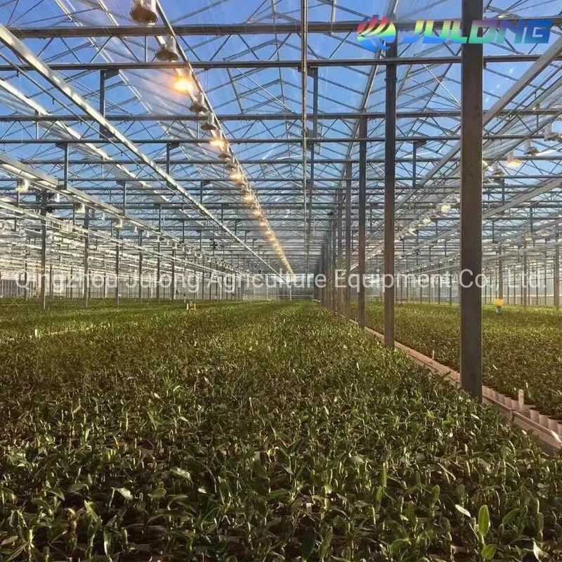 2019 Modern Design PC Board Greenhouse with Glass Cover 30 X 100 Greenhouse