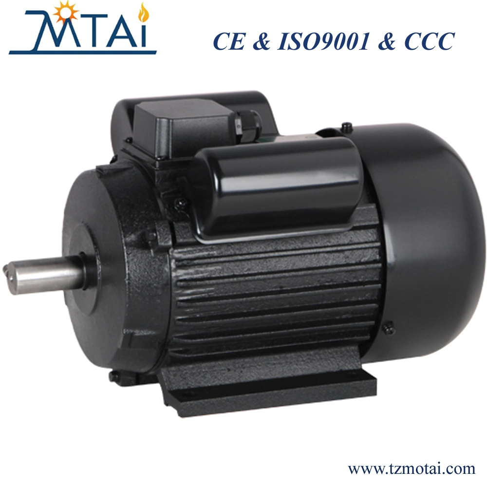 Cast Iron YY Single Phase Capacitor-Run Electric Motor