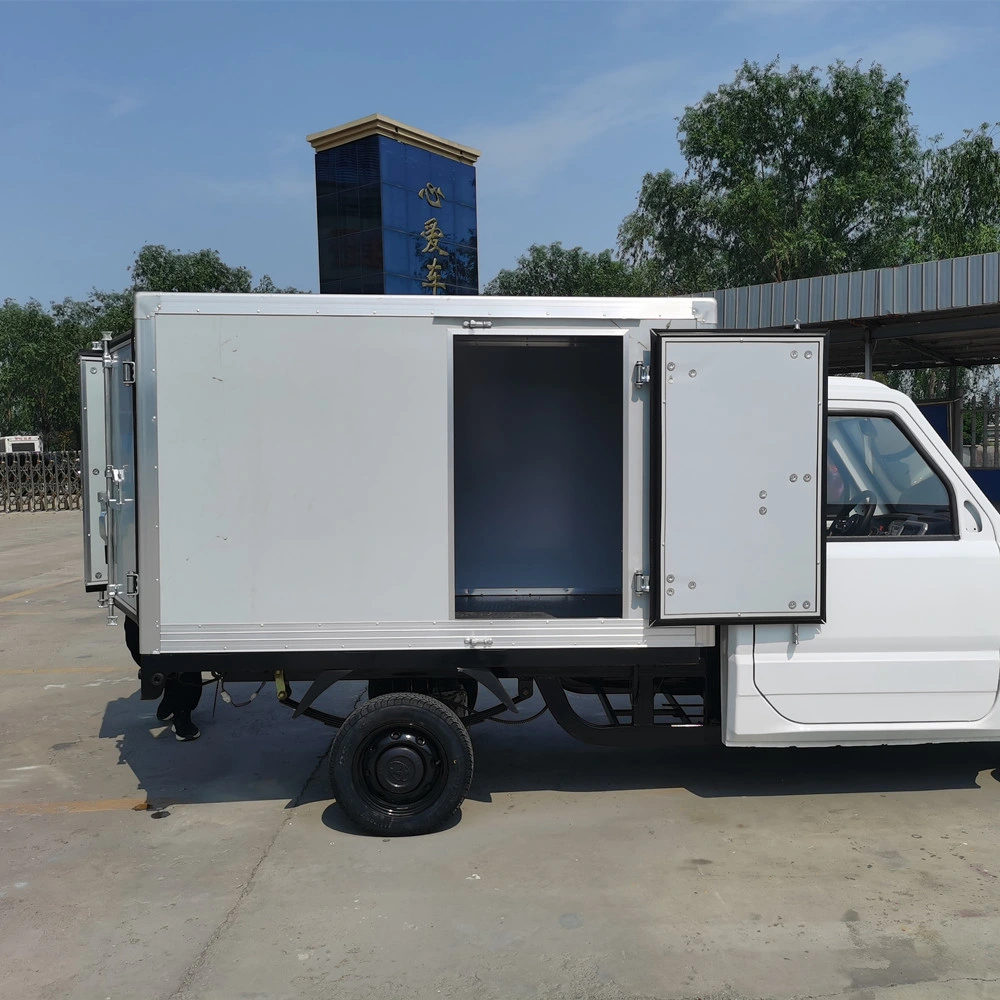 Aucwell Electric Mini Cargo Truck Electrical Pickup Car with Cargo Box