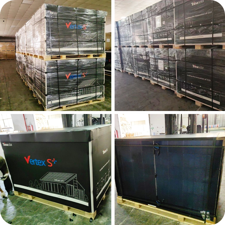 Trina Vertex N Tsm-Neg21c. 20 Bifacial EU Stock 675W 680W 685W 690W 695W 700W N Type Dual Glass Topcon Solar Panels