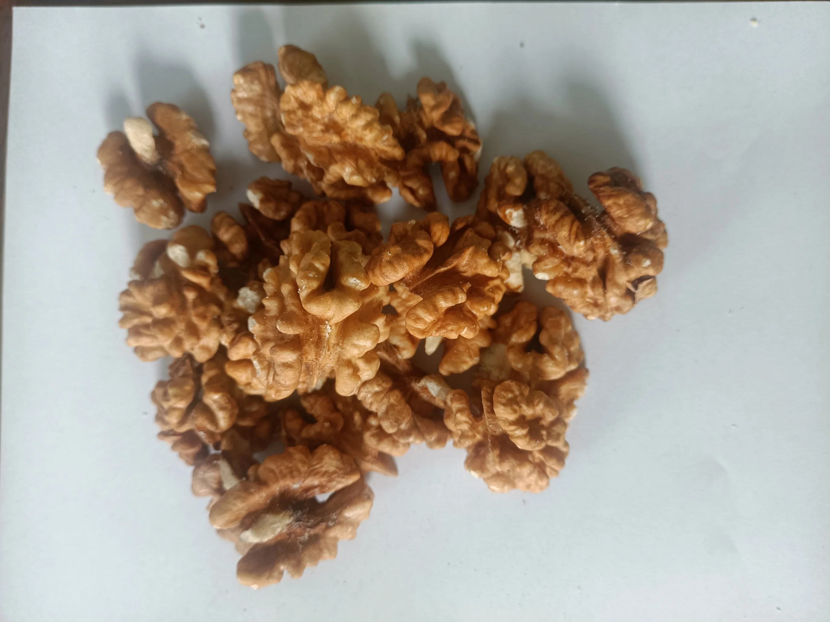 High quality/High cost performance  Xinjiang 185 Walnut /Butterfly Walnuts Kernels