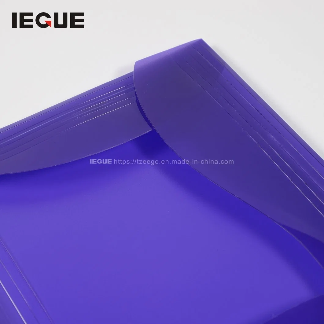 Manufacturer PP Plastic A4 Report File Folder with Fastener