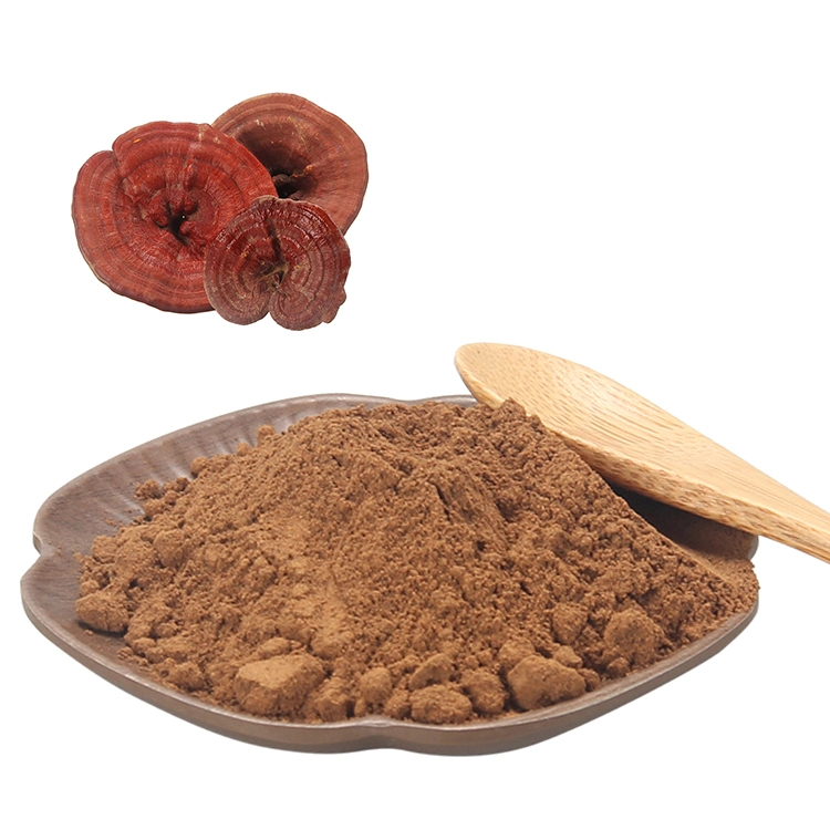 High Performance Ganoderma Extract Ganoderma Lucidum Mushroom Powder Reishi Mushroom Reishi Extract Powder