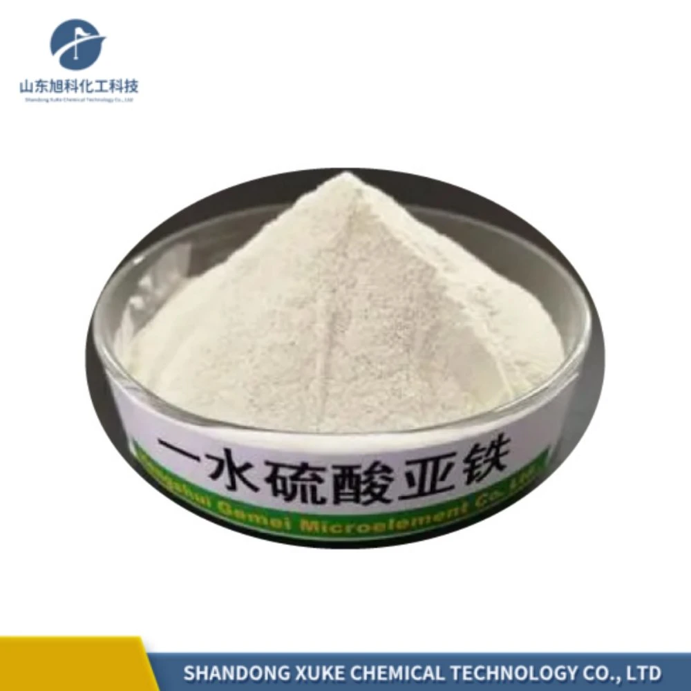 Hot Sale Ferrous Sulphate Monohydrate CAS 7782-63-0 Purity 90%~99% Chemical Purifying Agent