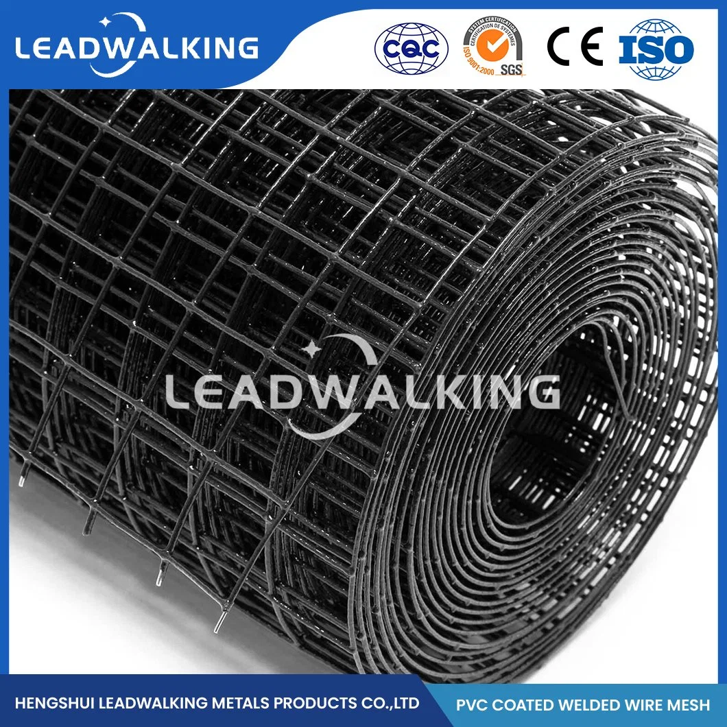 Leadwalking Galvanized Welded Wire Mesh Panel Factory Ss Steel Plastic Coated Welded Mesh China Welded Wire Mesh with Green PVC Coating for Plant Support