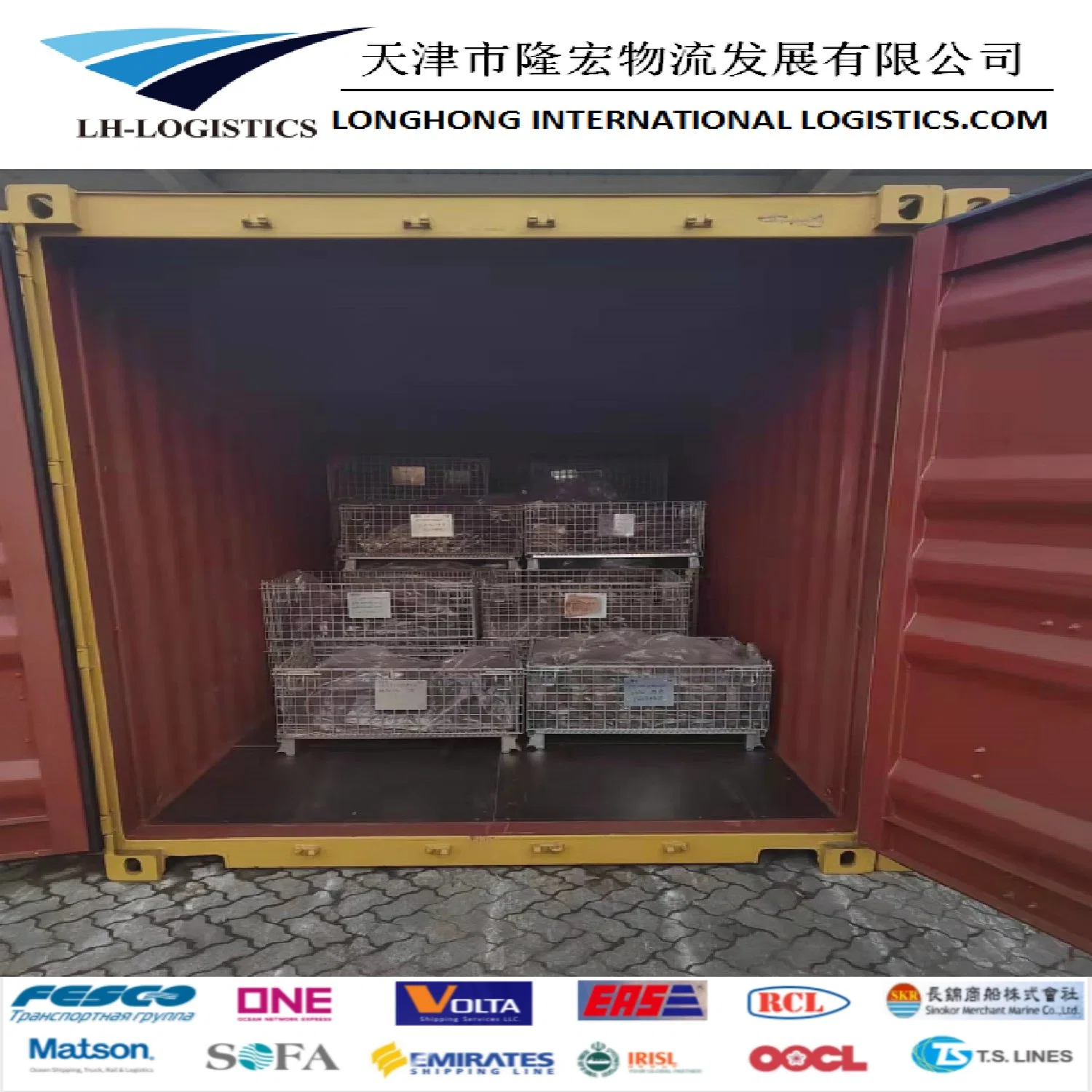 Professional Shipping Service/ Logistics / Shipping Forwarder From Shenzhen to Rotterdam/Felixstowe/Hamburg