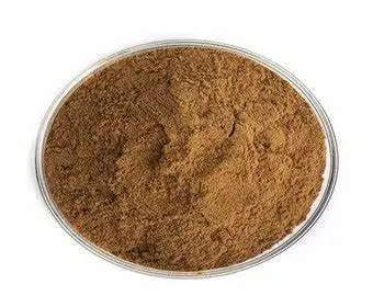 High Quality Ajuga Turkestanica Extract Powder Turkesterone 40%