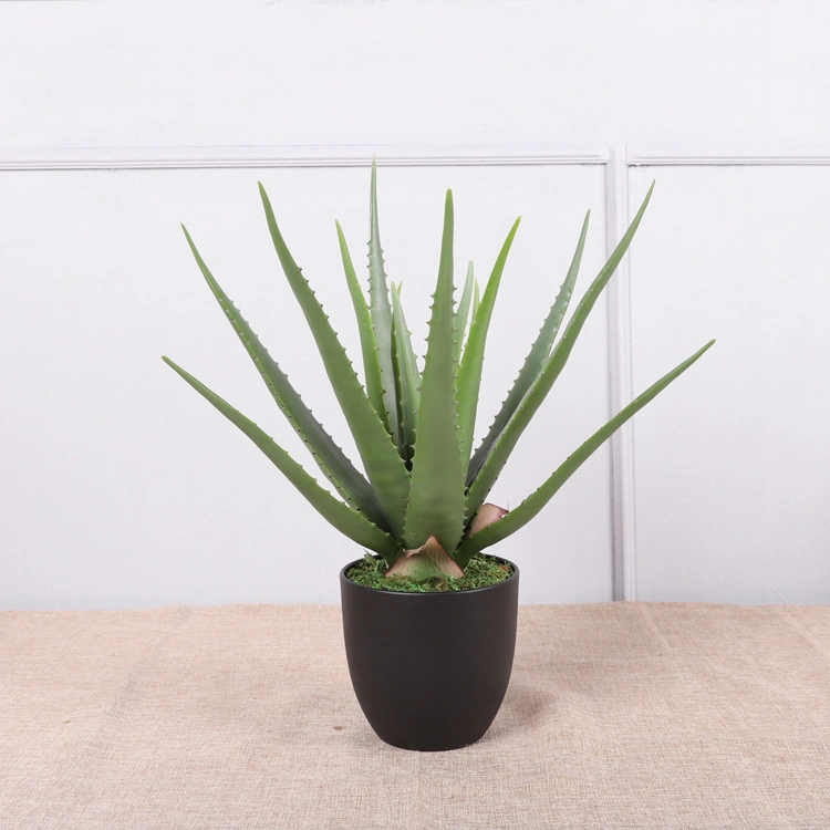 Plant Plastic Aloe with Pot for Family Decoration Greenery Aloe Bonsai