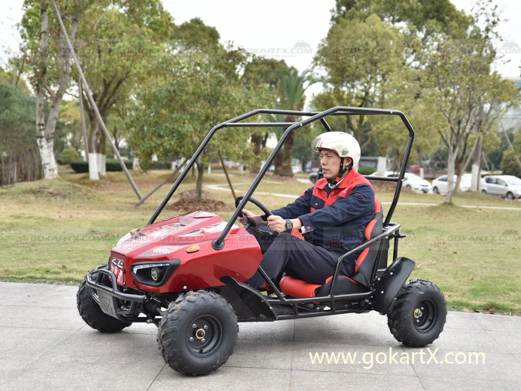 Precios baratos de venta caliente 60V 12000W mejor calidad de Buggy eléctrico Go Karts