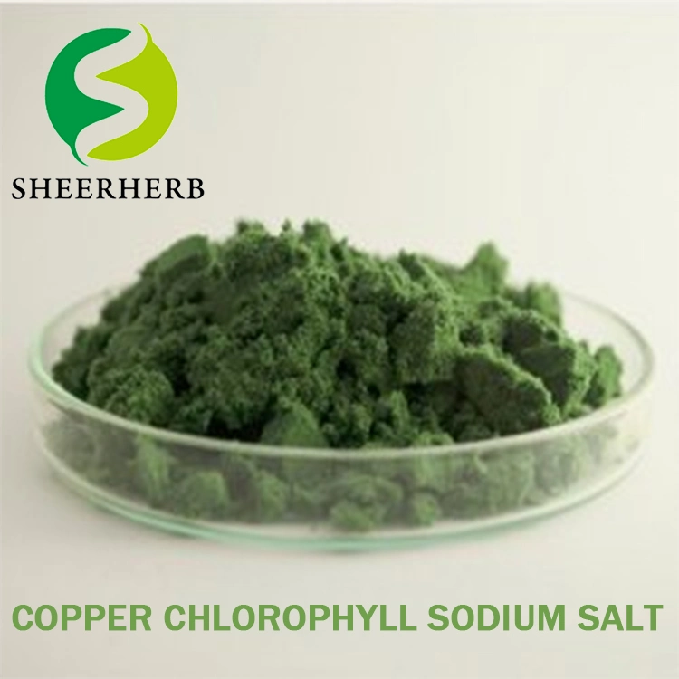 Chlorophyllin Chlorophyll 95% 100% Sodium Copper Chlorophyllin Sodium Magnesium