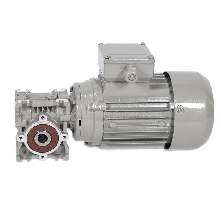 Professional 14~186.7rpm Reducer Worm Gear Box Motor