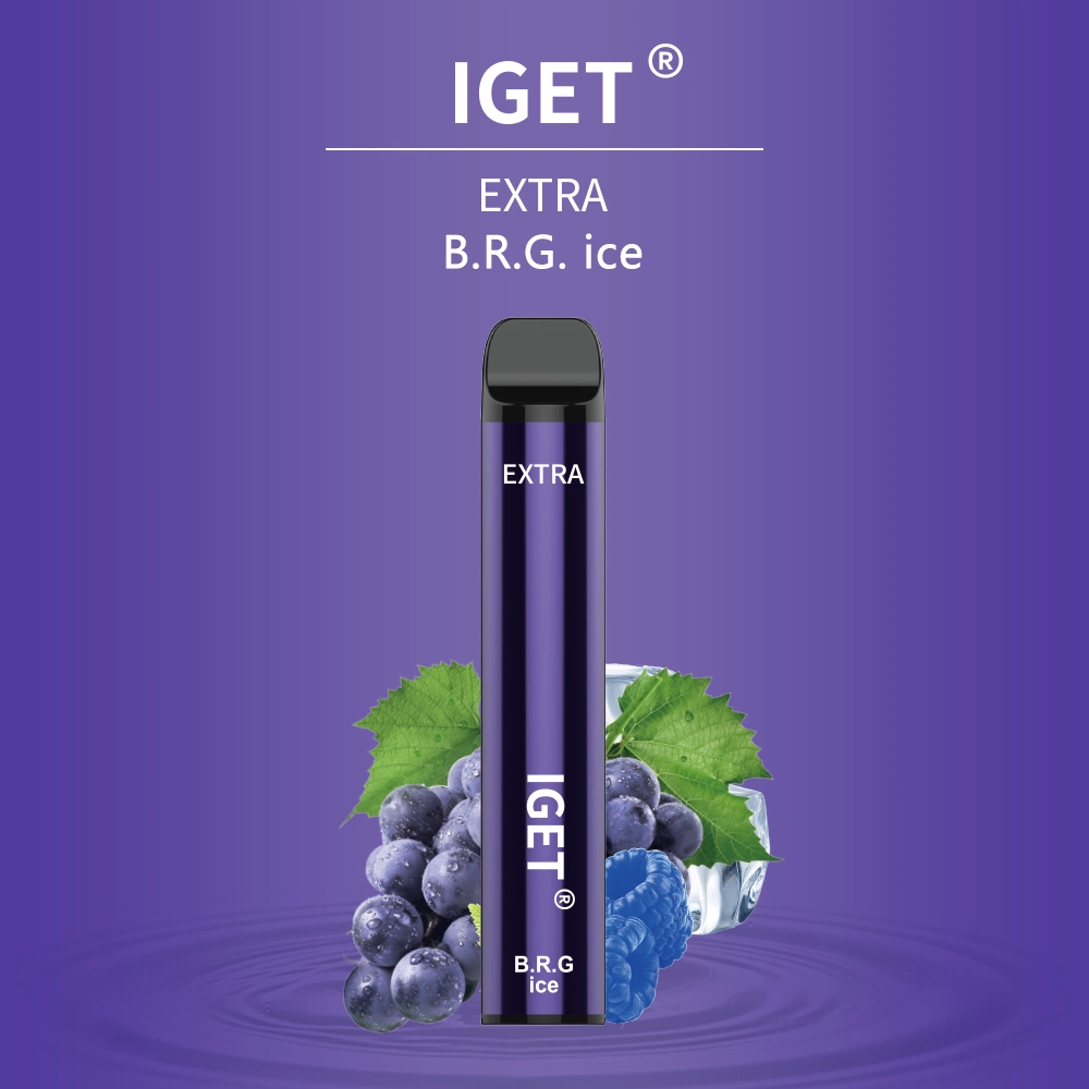 Iget Extra Wholesale/Supplier Disposable/Chargeable Electronic Cigarette E Cigarette Iget Vape