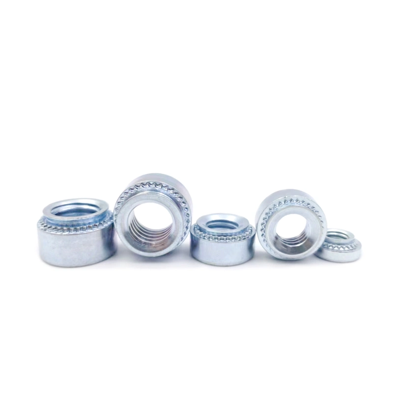 Carbon Steel Stainless Steel 304/316m2-M12 Fasteners Sealing Electronic Connection Fittings Flange Nut/Hexagon Nut/Square Nut/Hammer Nut/Rivet Nut