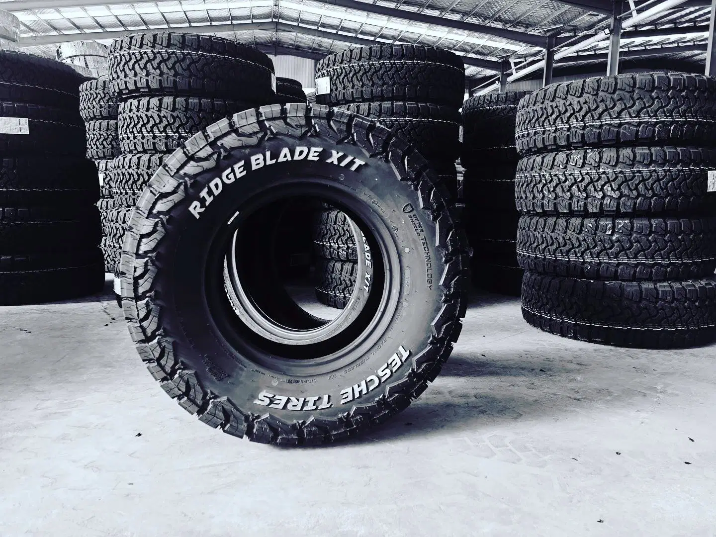 La máxima tracción off-road construido para los terrenos más difíciles Ridgebladext Teschetire LT285/60R20 4X4 Neumáticos