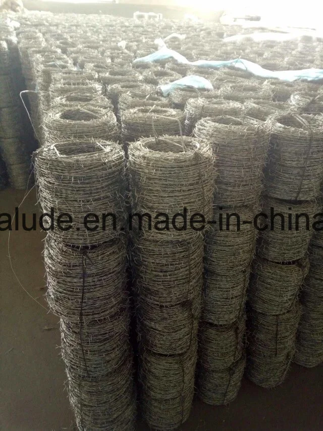 Hot-Dipped Galvanized Barbed Wire for Airport Prison Security Fence