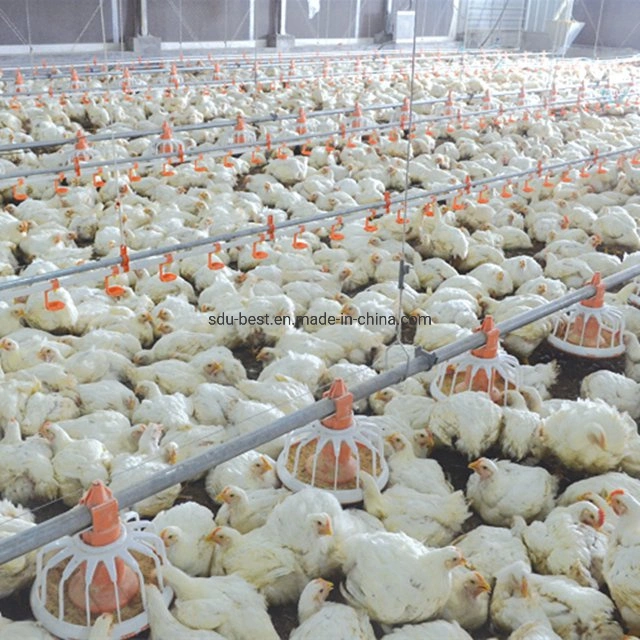 CE Approved Automatic Poultry Farming/Farm/House/Shed/Coop Cage/Machine/Equipment for Feeding and Drinking Watering Chicken/Broiler/Breeder