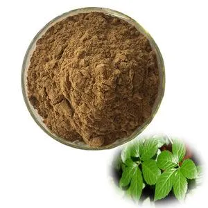 Raw Material Jujuba Traditional Chinese Herbal Medicine Top Quality