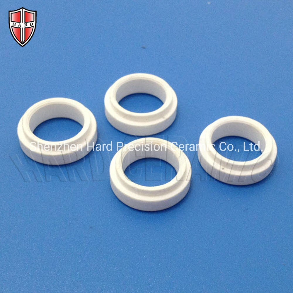 Customized Precision Alumina Ceramic Seal Gasket