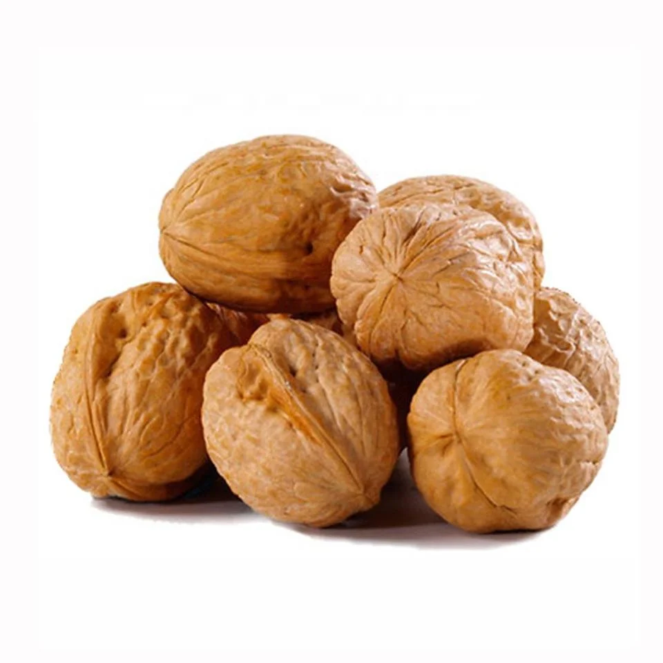 Nature Walnuts Wholesale/Supplier Chinese Paper Shell Walnut