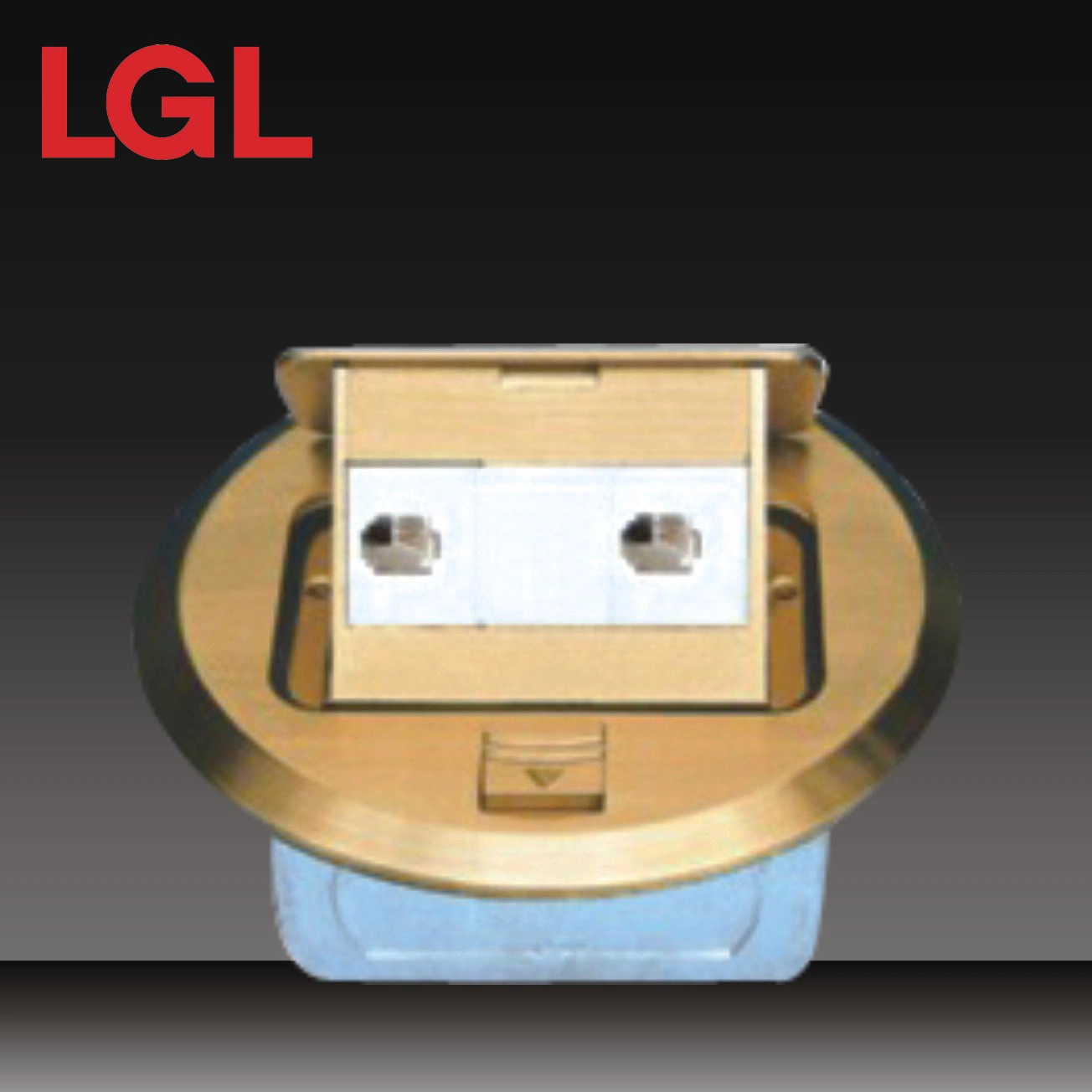 2 Gang Telephone Socket (HDC-5-3)