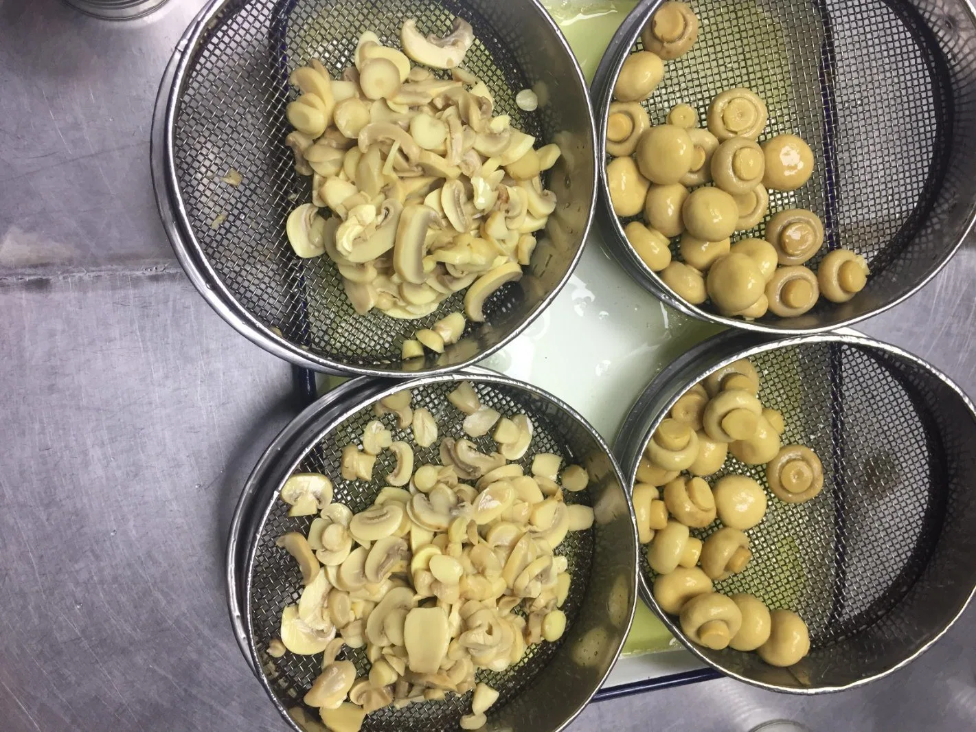 Canned Champignon Mushroom Pieces in Brine in Tins