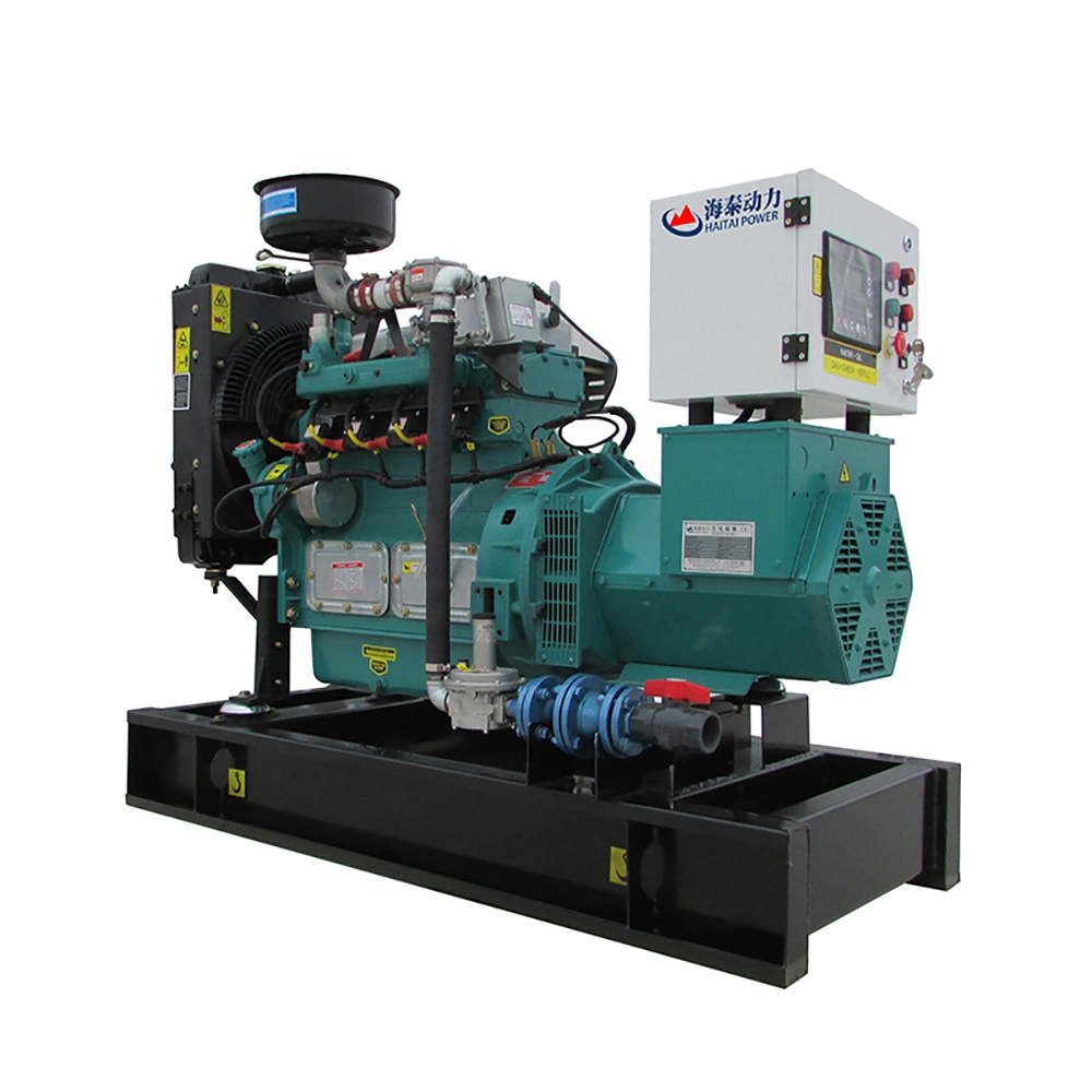 Stable Performance and High quality/High cost performance Power LPG Electric Generator