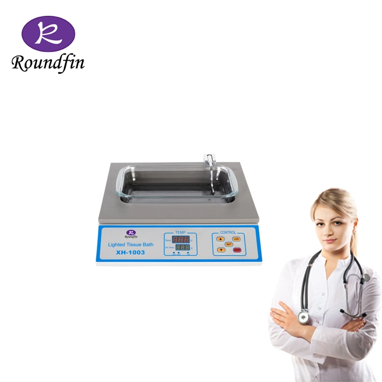 Roundfin Medical Lab Equipment Histology Section Tissue Floating Bath