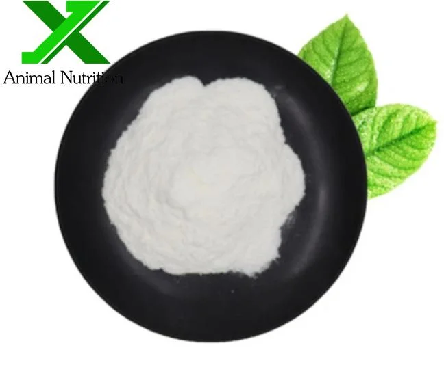 Food Additives CAS 3081-61-6 L-Theanine