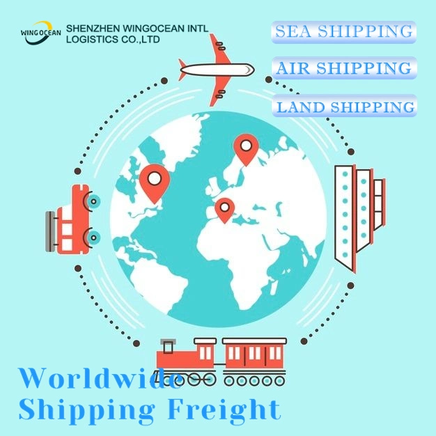 Professional Sea Forwarder Shipping Agent Freight Cost Rates China to Egypt