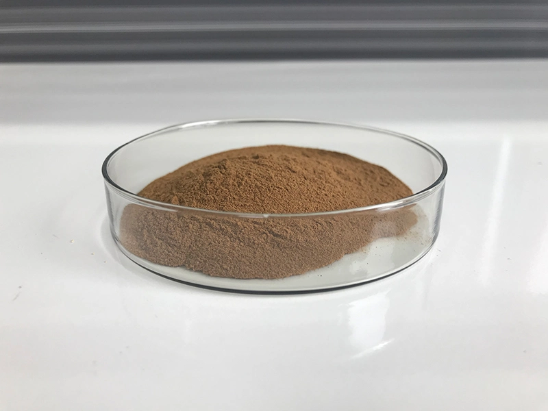 ISO Certified Manufacturer Bulk Stock Natural Powder Hovenia Dulcis Extract