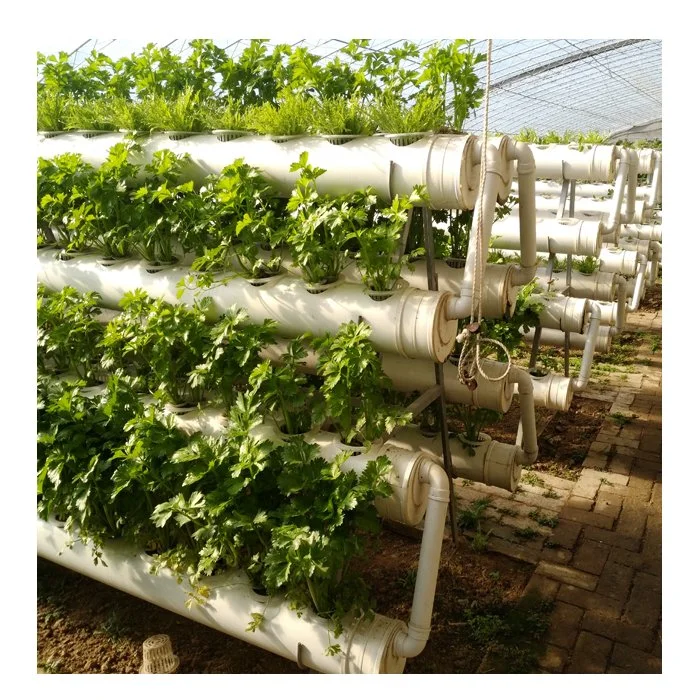 Hydroponic Vertical Farming Hydroponics Growing Systems