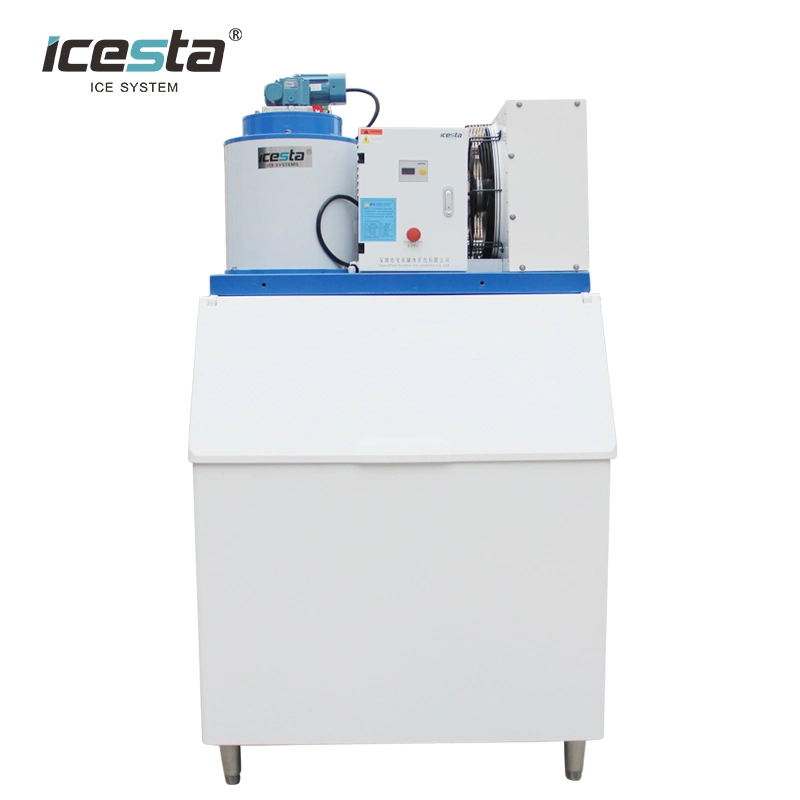 Beautiful Design 500kg 1ton Flake Ice Machine Plus Ice Storage Bin